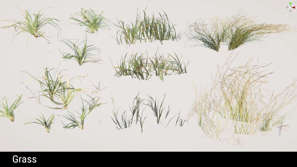Forest Environment – Dynamic Nature Screenshot {loop_index}