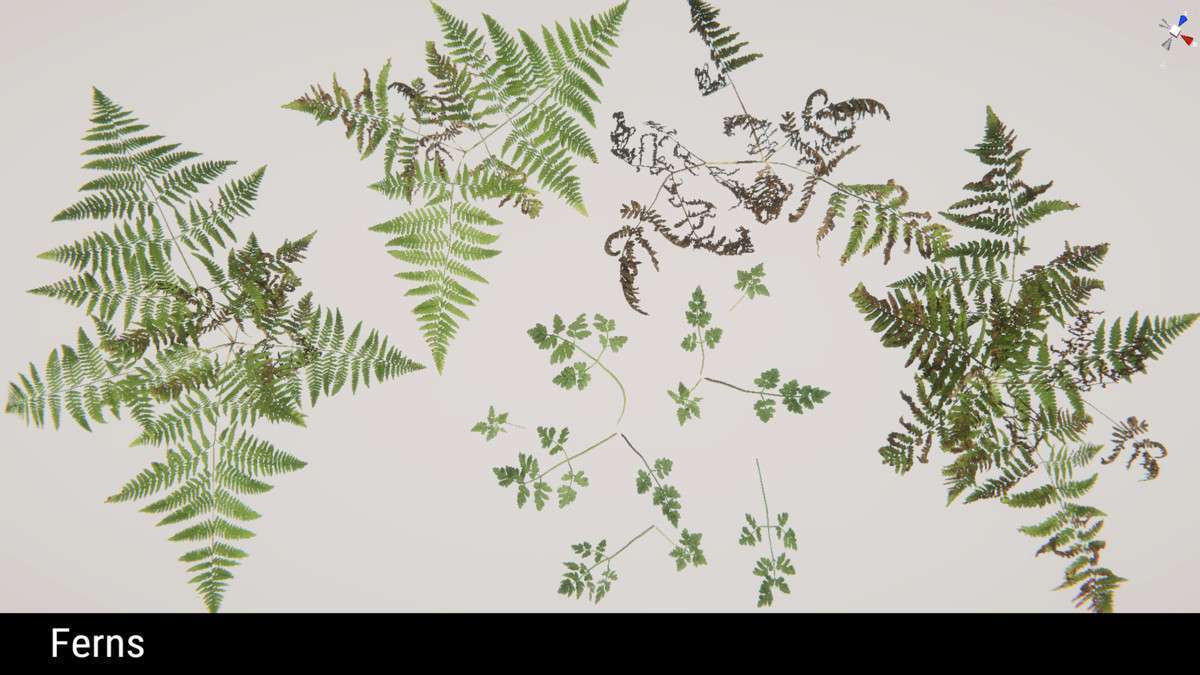 Forest Environment – Dynamic Nature Screenshot {loop_index}