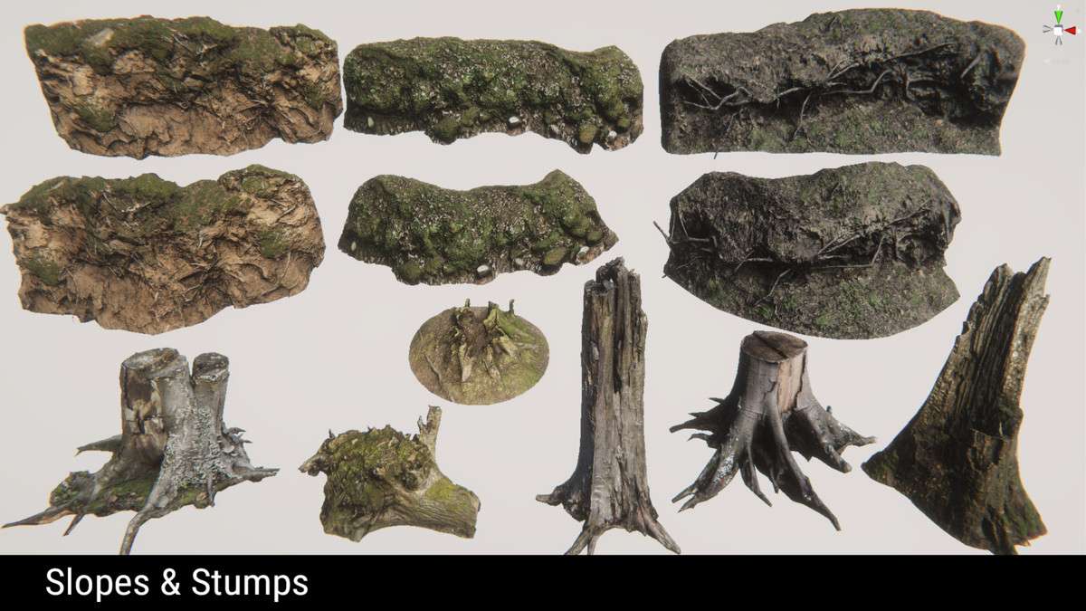 Forest Environment – Dynamic Nature Screenshot {loop_index}