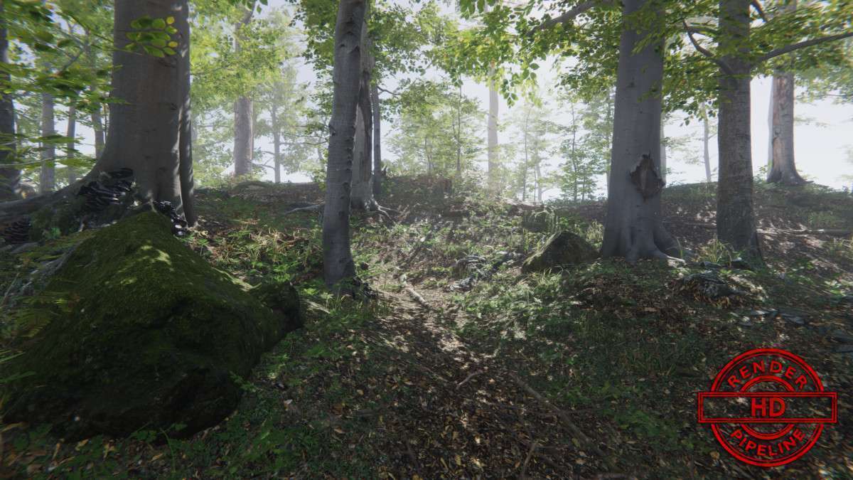 Forest Environment – Dynamic Nature Screenshot {loop_index}