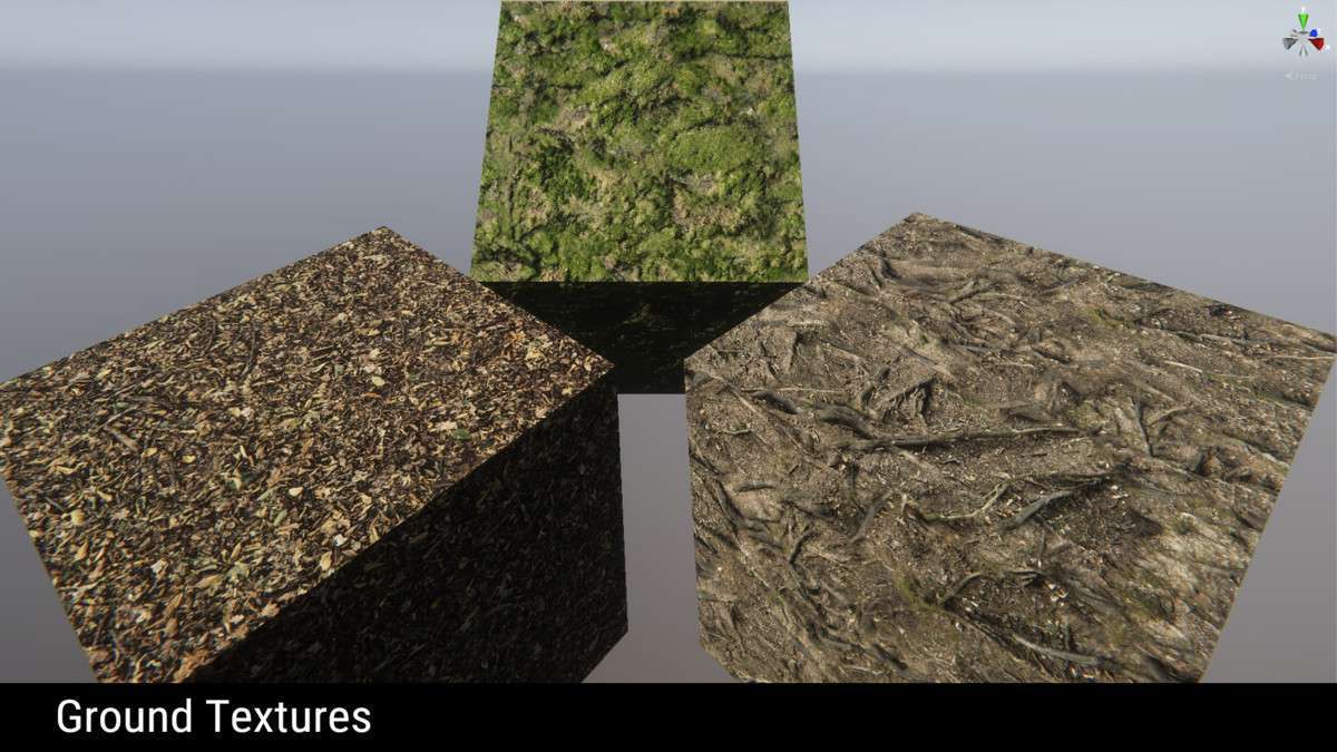 Forest Environment – Dynamic Nature Screenshot {loop_index}