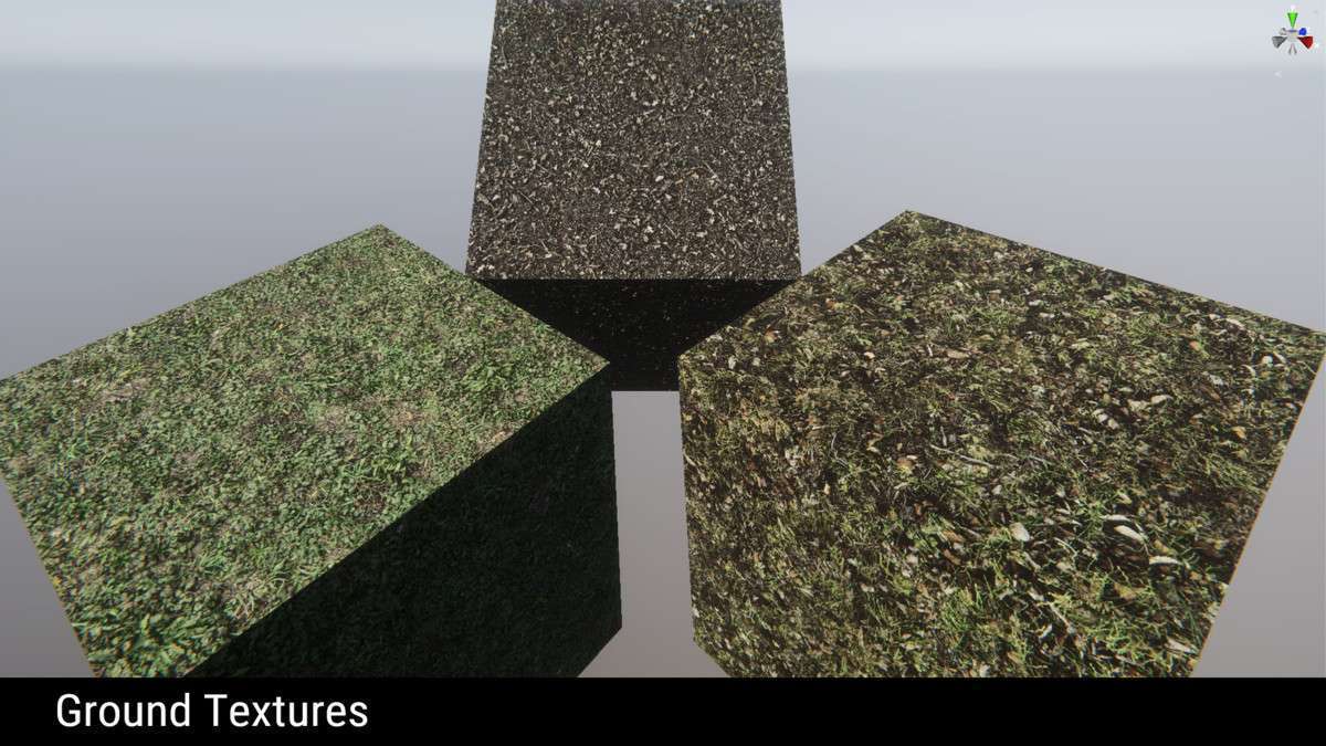 Forest Environment – Dynamic Nature Screenshot {loop_index}