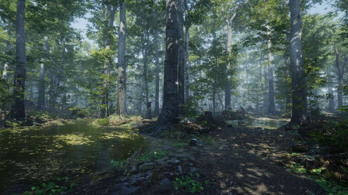 Forest Environment – Dynamic Nature Screenshot {loop_index}