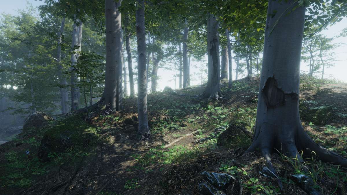 Forest Environment – Dynamic Nature Screenshot {loop_index}