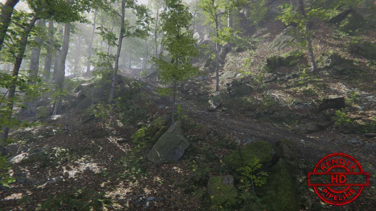 Forest Environment – Dynamic Nature Screenshot {loop_index}