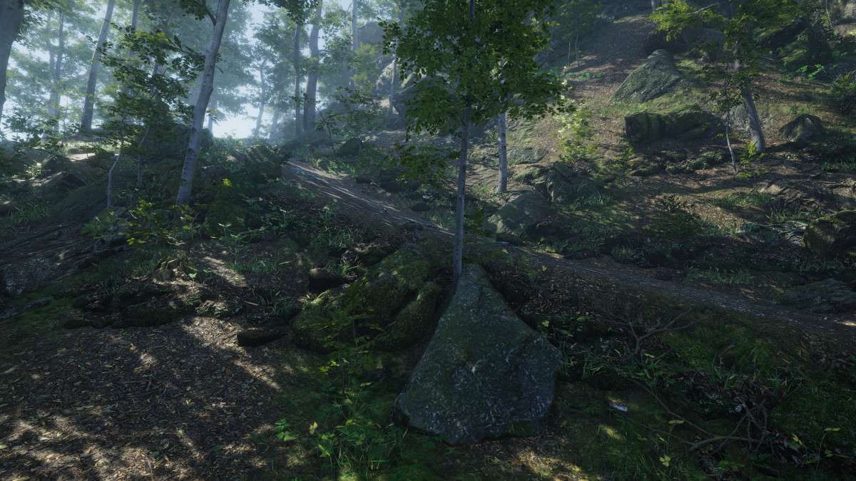 Forest Environment – Dynamic Nature Screenshot {loop_index}